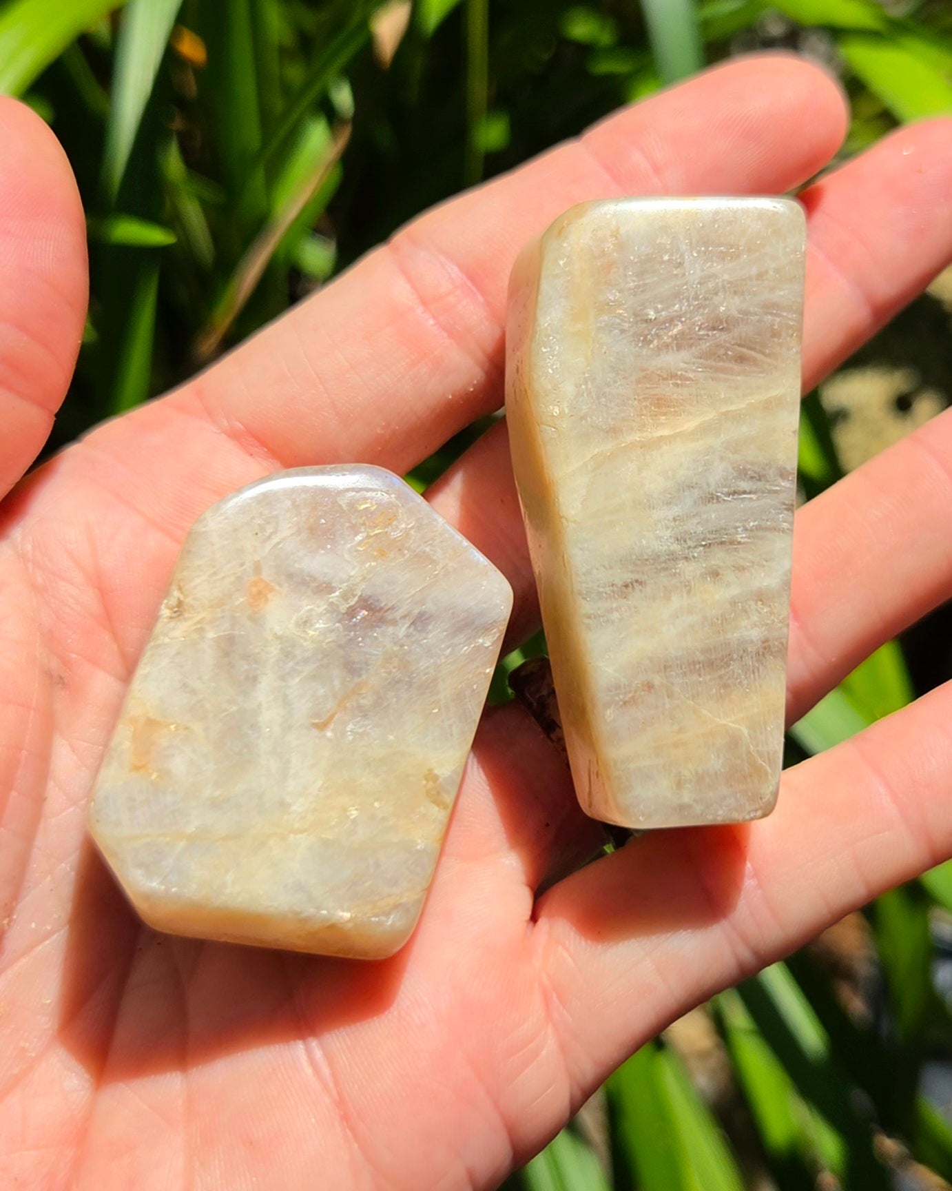 Rainbow Moonstone Angular Freeforms