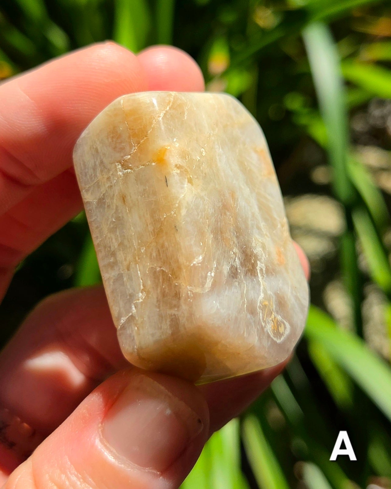 Rainbow Moonstone Angular Freeforms