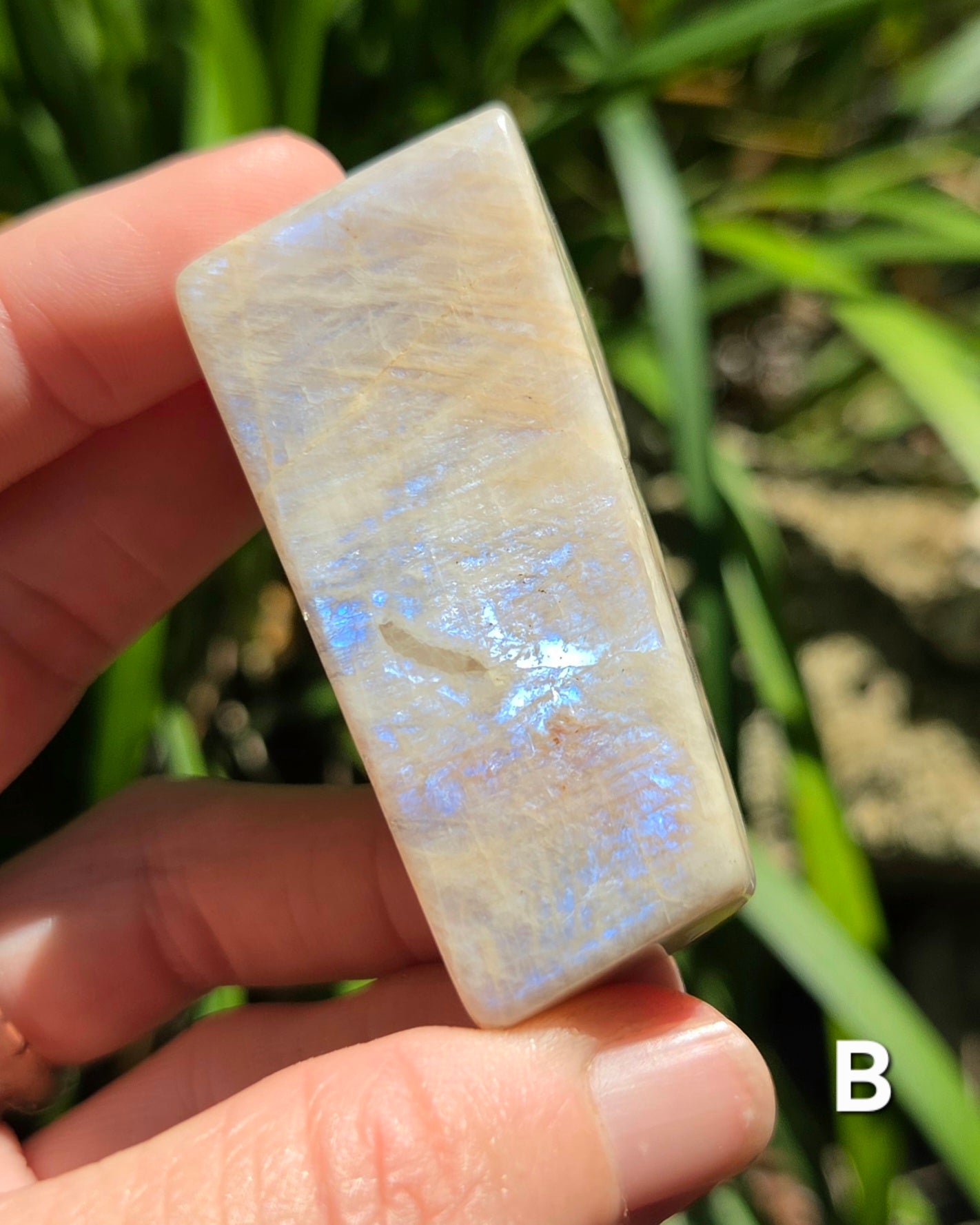 Rainbow Moonstone Angular Freeforms