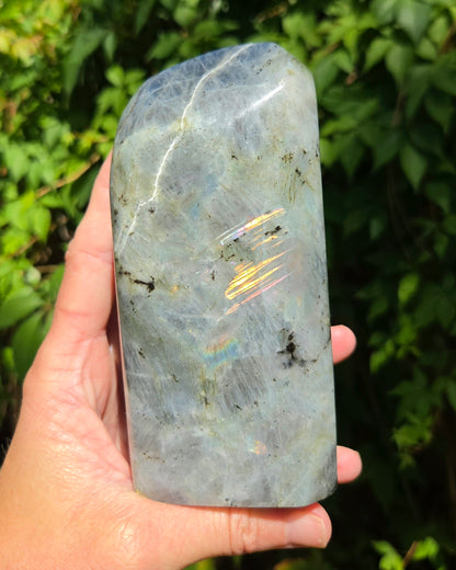 Sunset Labradorite Freeform
