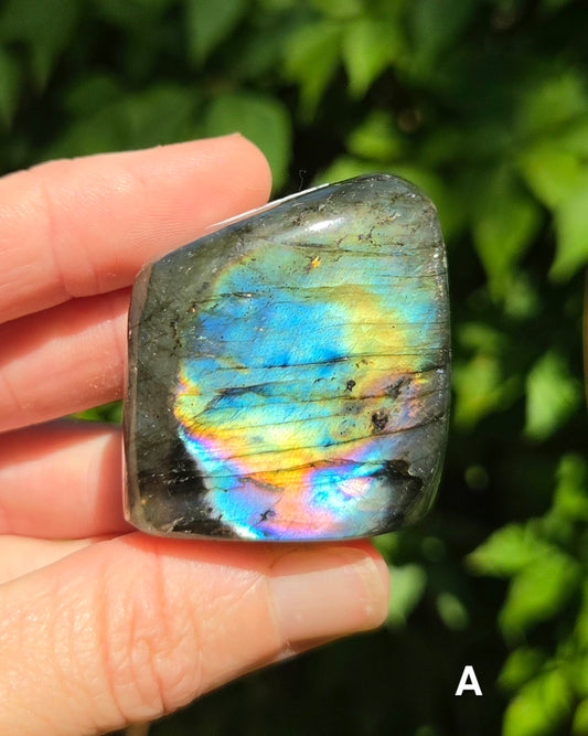 Small Labradorite Freeforms