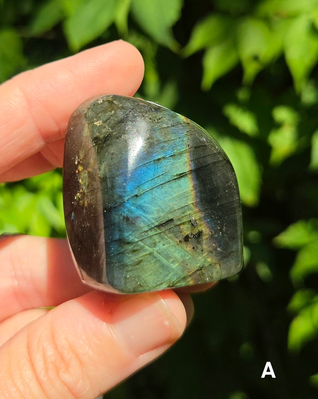 Small Labradorite Freeforms