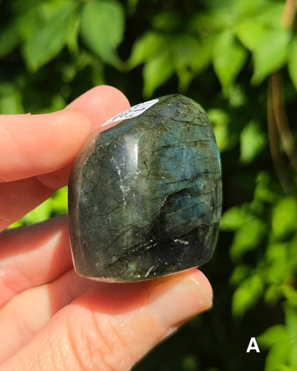 Small Labradorite Freeforms