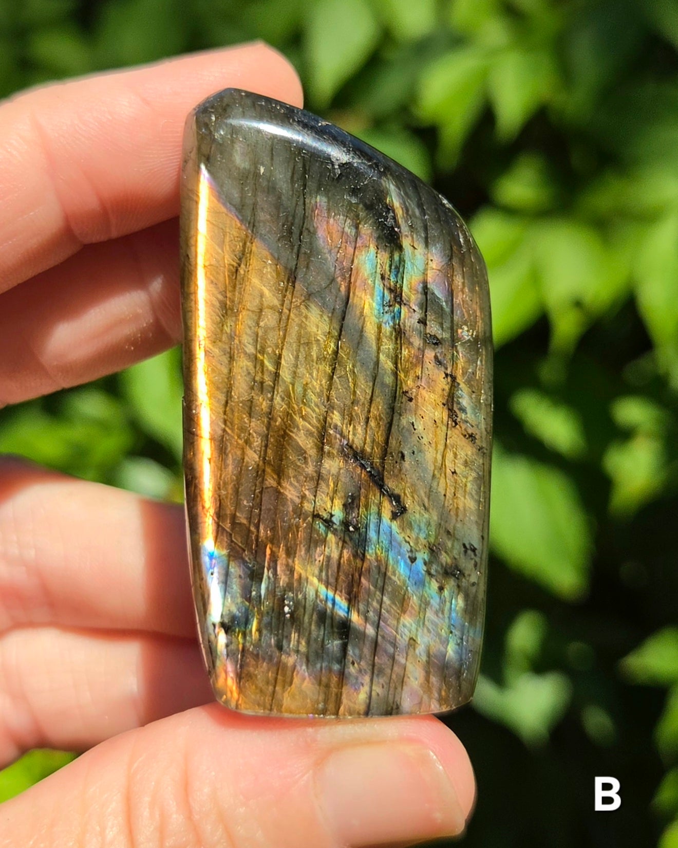 Small Labradorite Freeforms