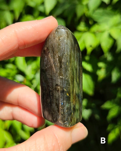Small Labradorite Freeforms