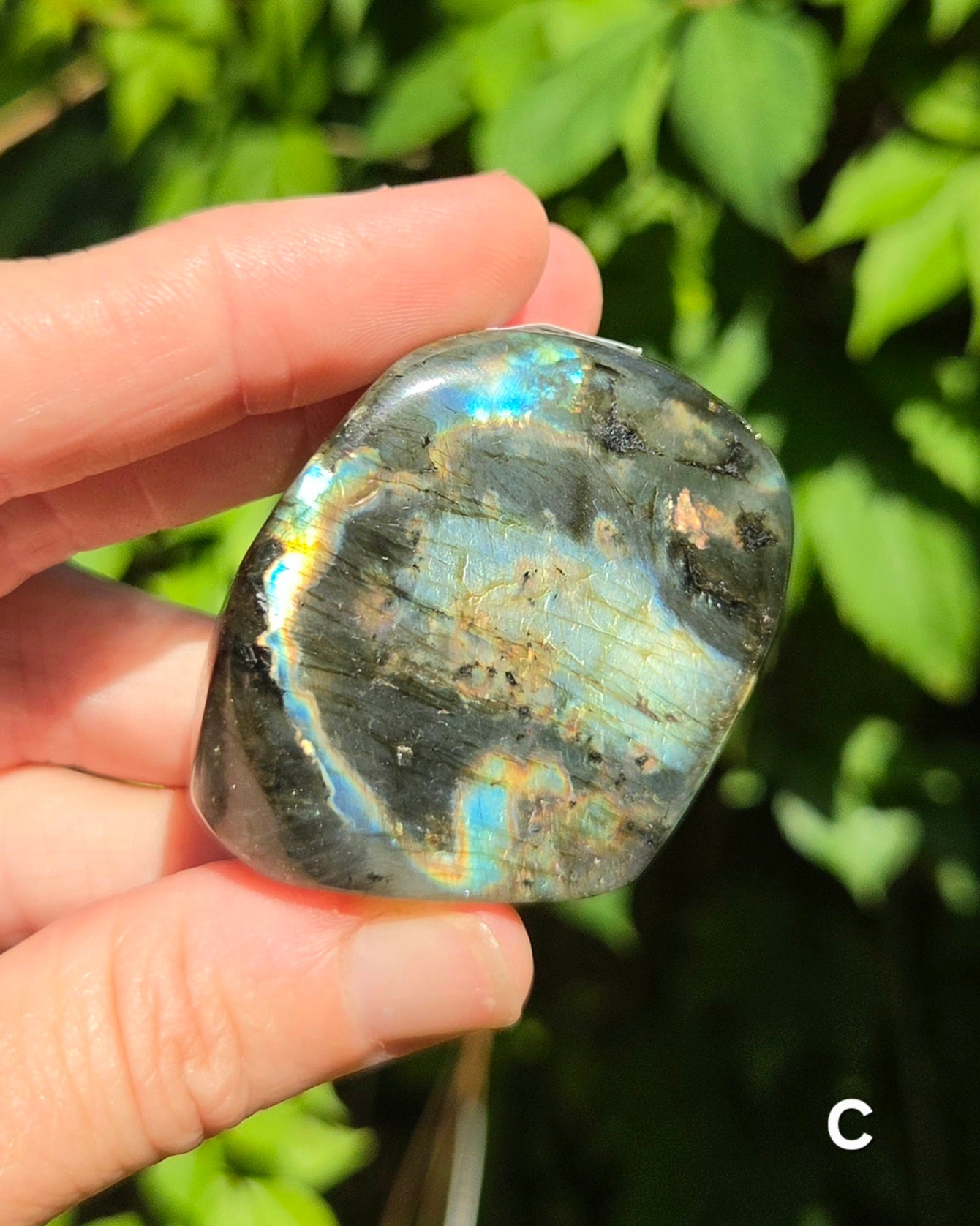 Small Labradorite Freeforms
