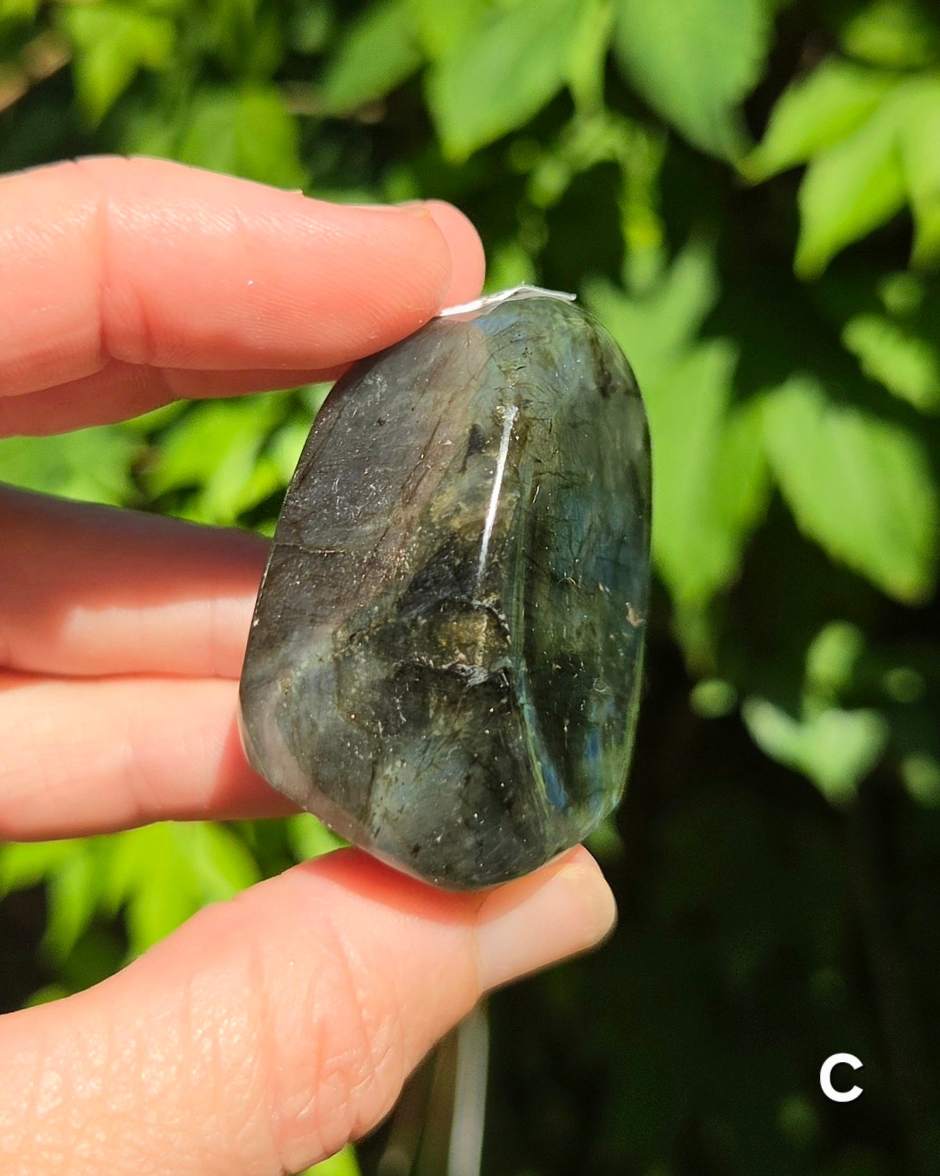 Small Labradorite Freeforms
