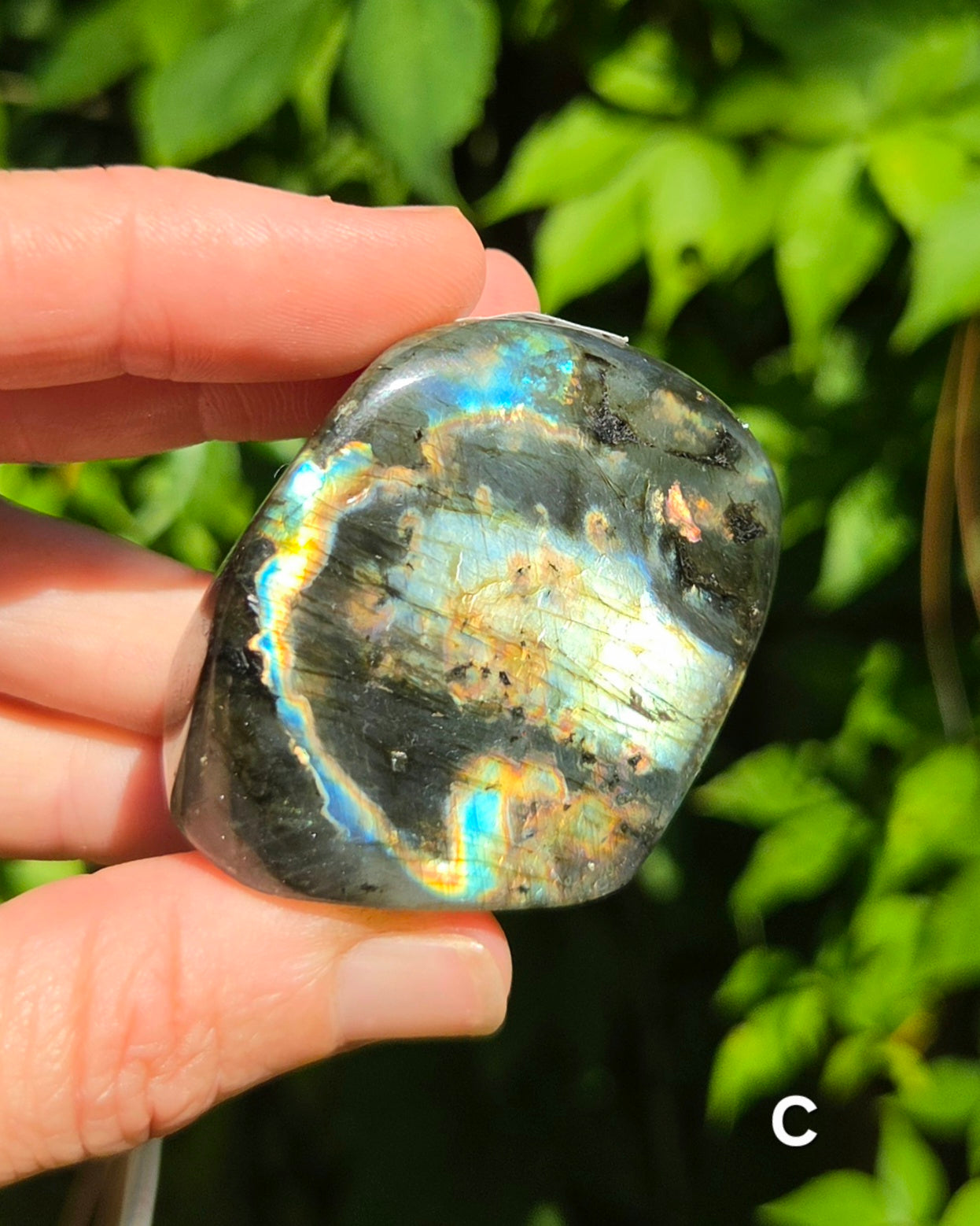 Small Labradorite Freeforms