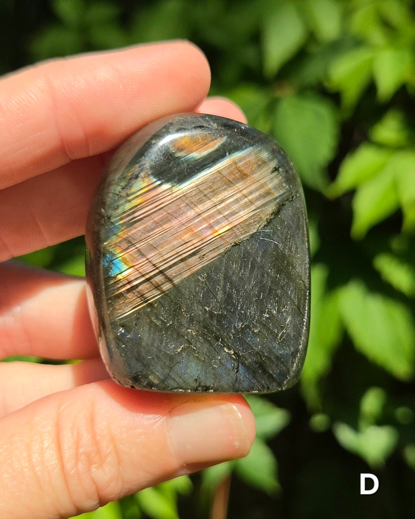 Small Labradorite Freeforms