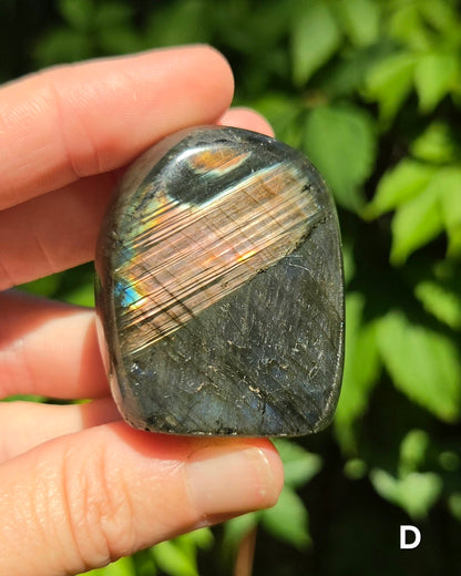 Small Labradorite Freeforms