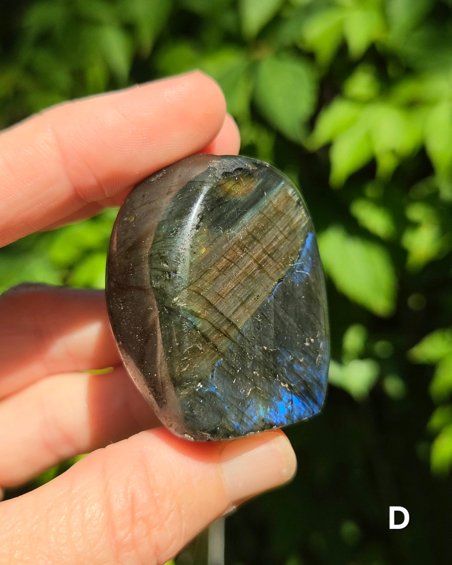 Small Labradorite Freeforms