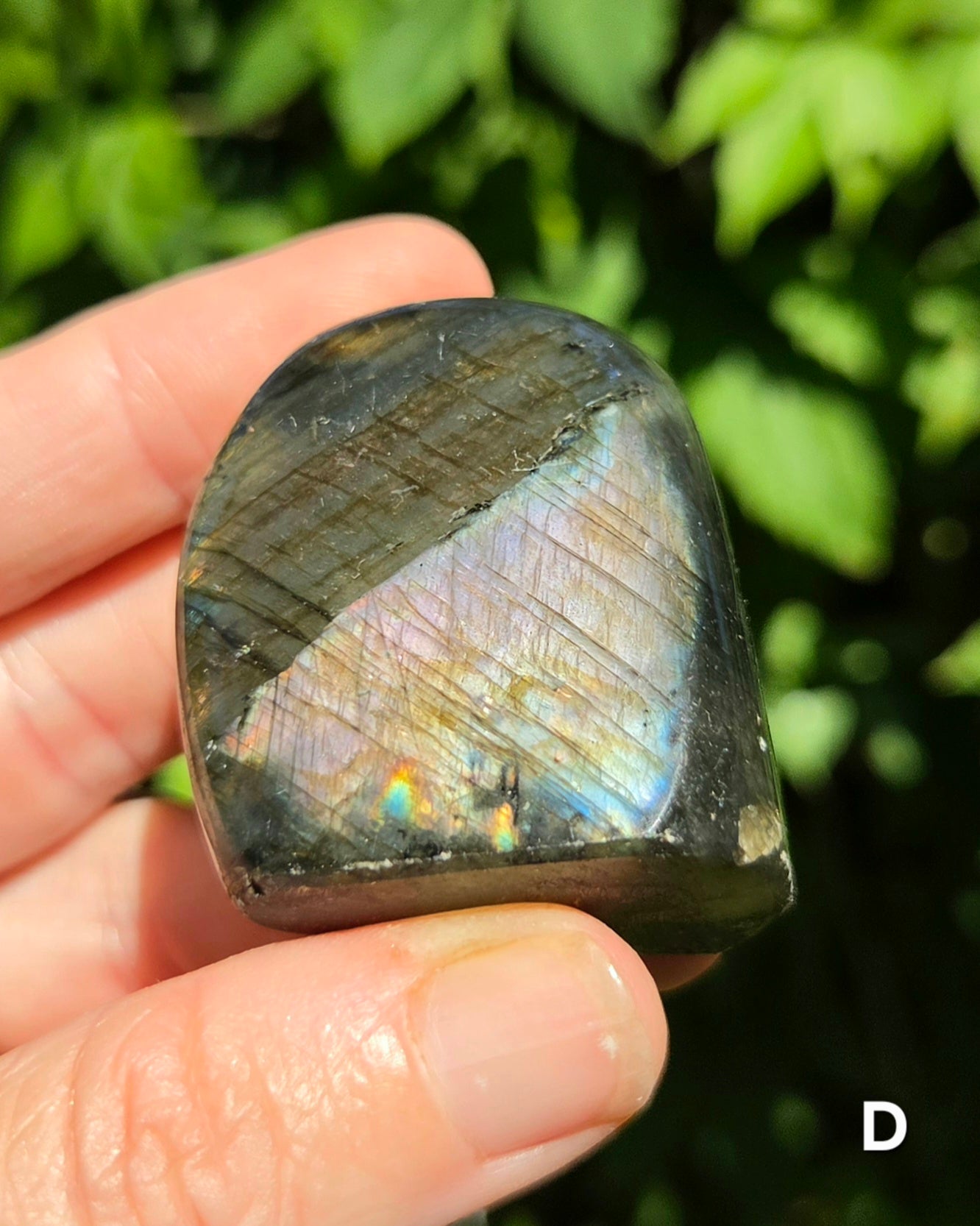 Small Labradorite Freeforms