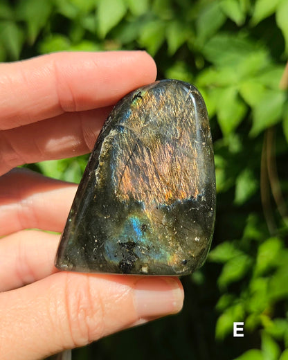 Small Labradorite Freeforms