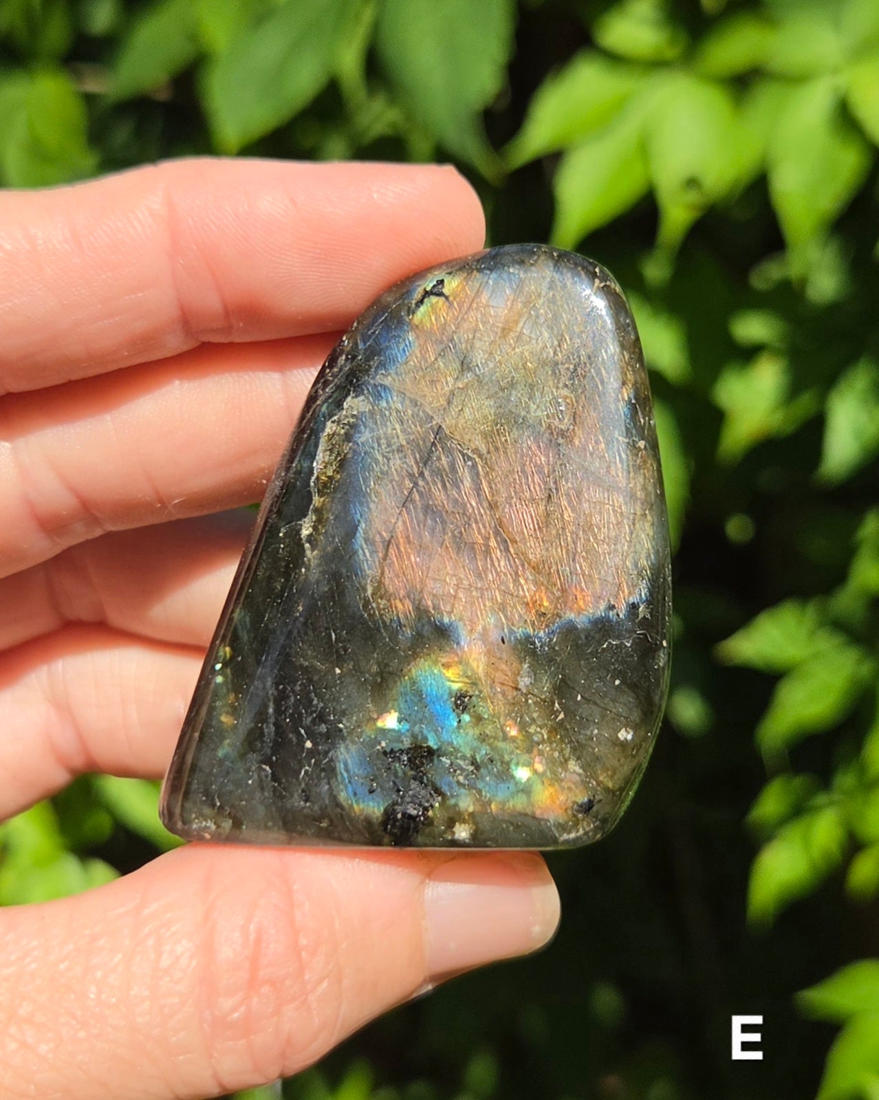 Small Labradorite Freeforms