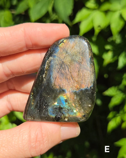 Small Labradorite Freeforms