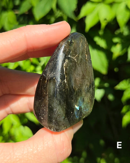 Small Labradorite Freeforms