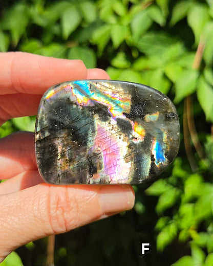 Small Labradorite Freeforms