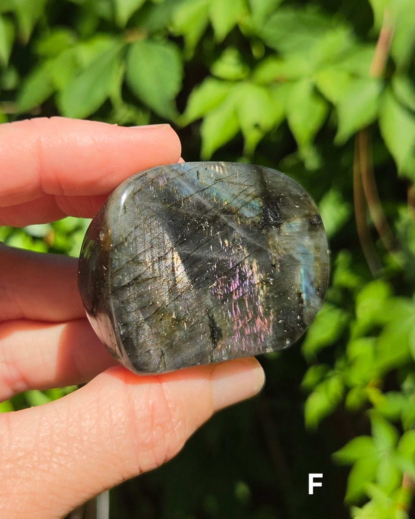 Small Labradorite Freeforms