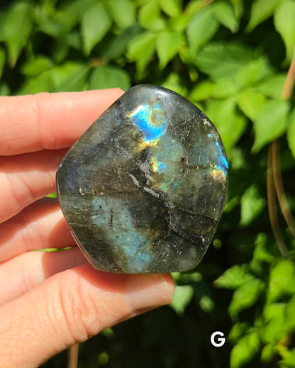 Small Labradorite Freeforms