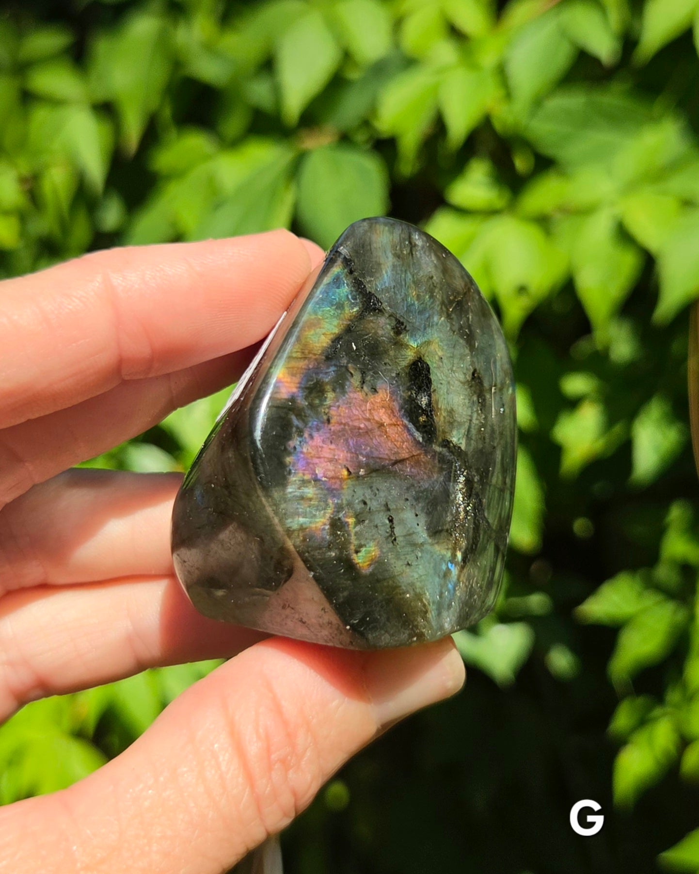 Small Labradorite Freeforms