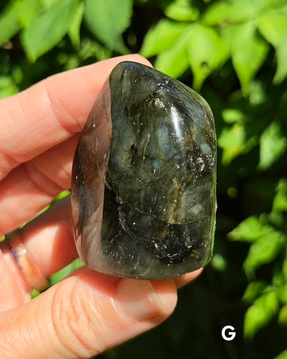 Small Labradorite Freeforms