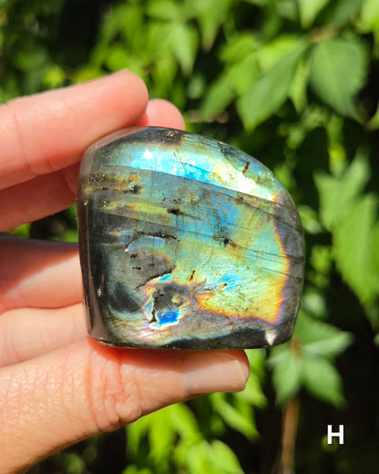Small Labradorite Freeforms