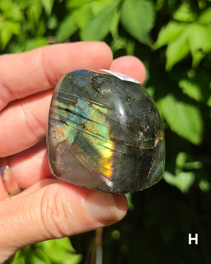 Small Labradorite Freeforms