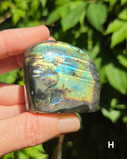 Small Labradorite Freeforms