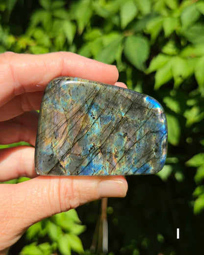 Small Labradorite Freeforms