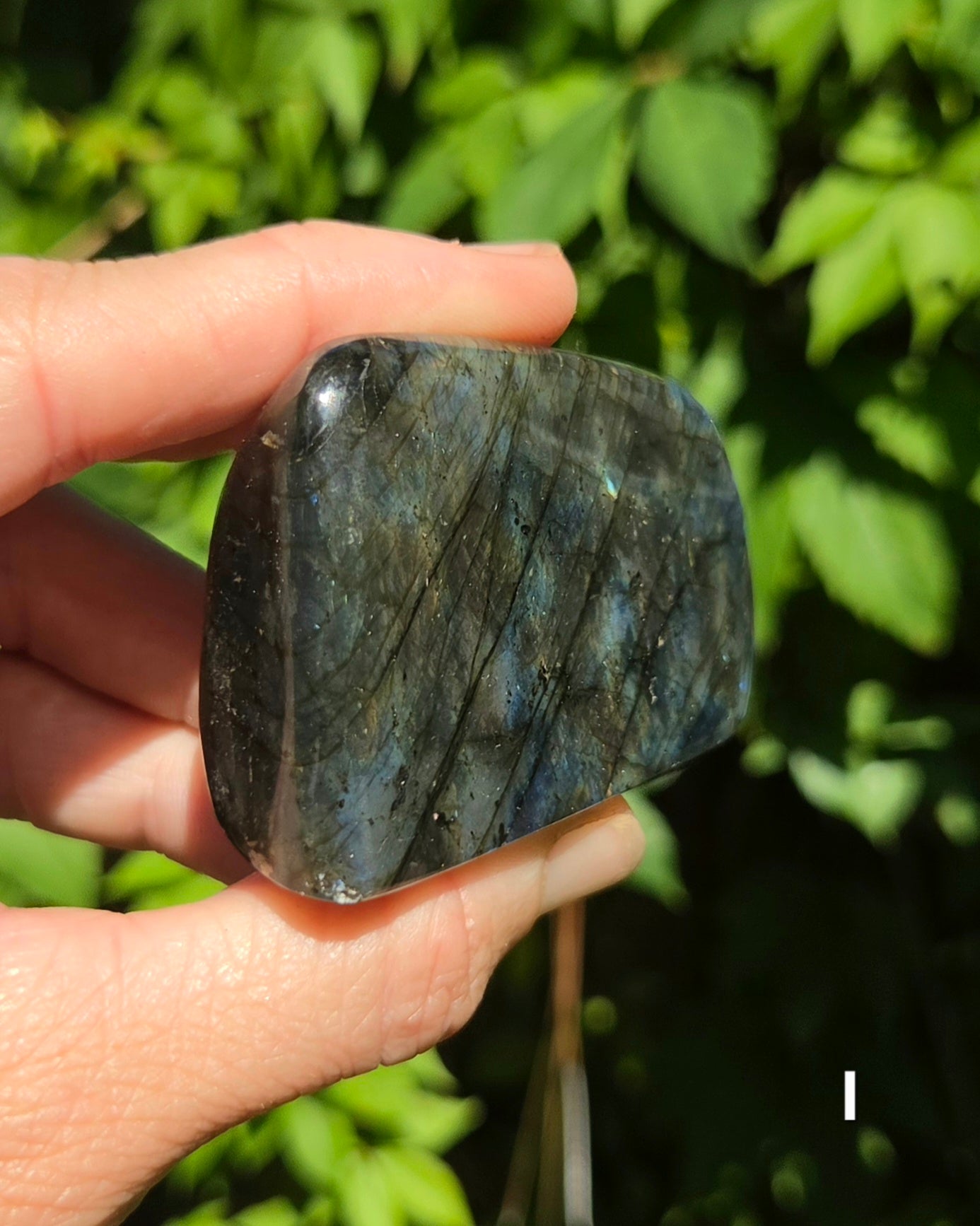 Small Labradorite Freeforms