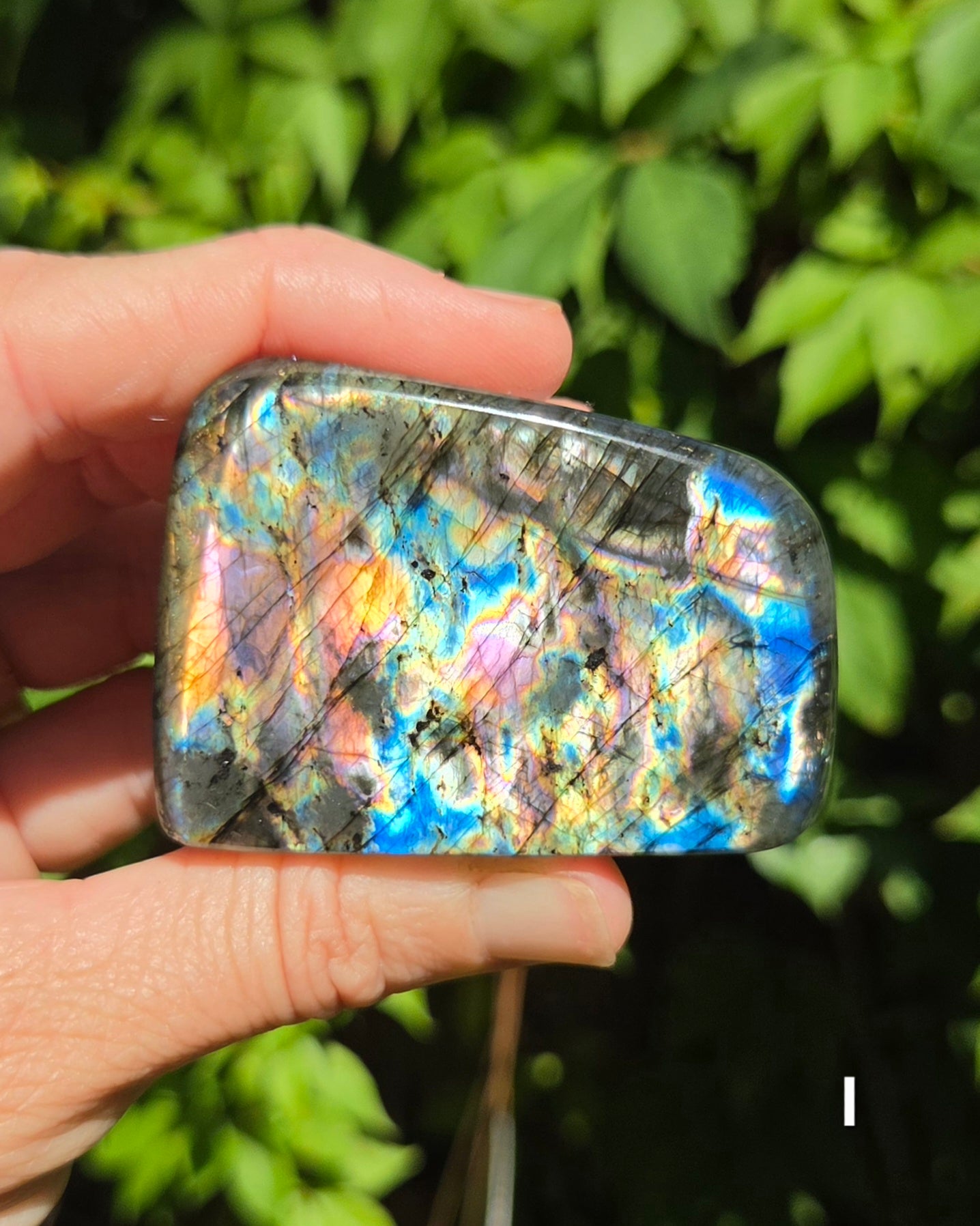 Small Labradorite Freeforms