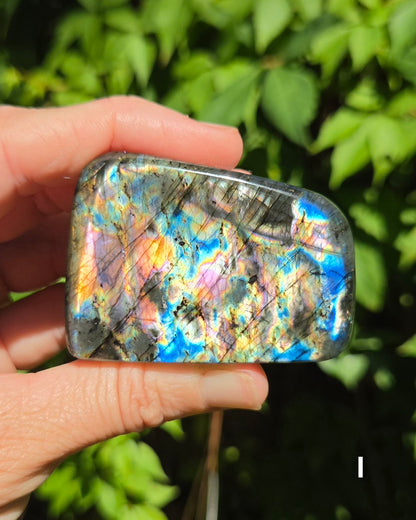 Small Labradorite Freeforms