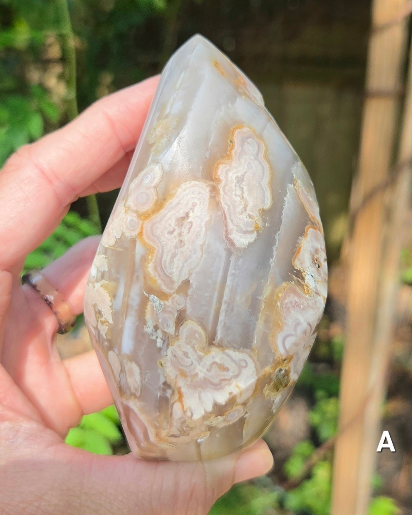 Flower Agate Flames