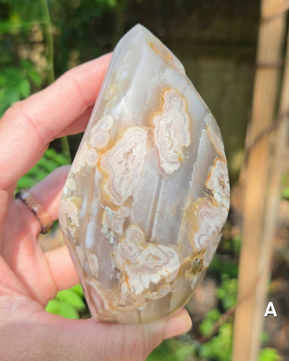 Flower Agate Flames