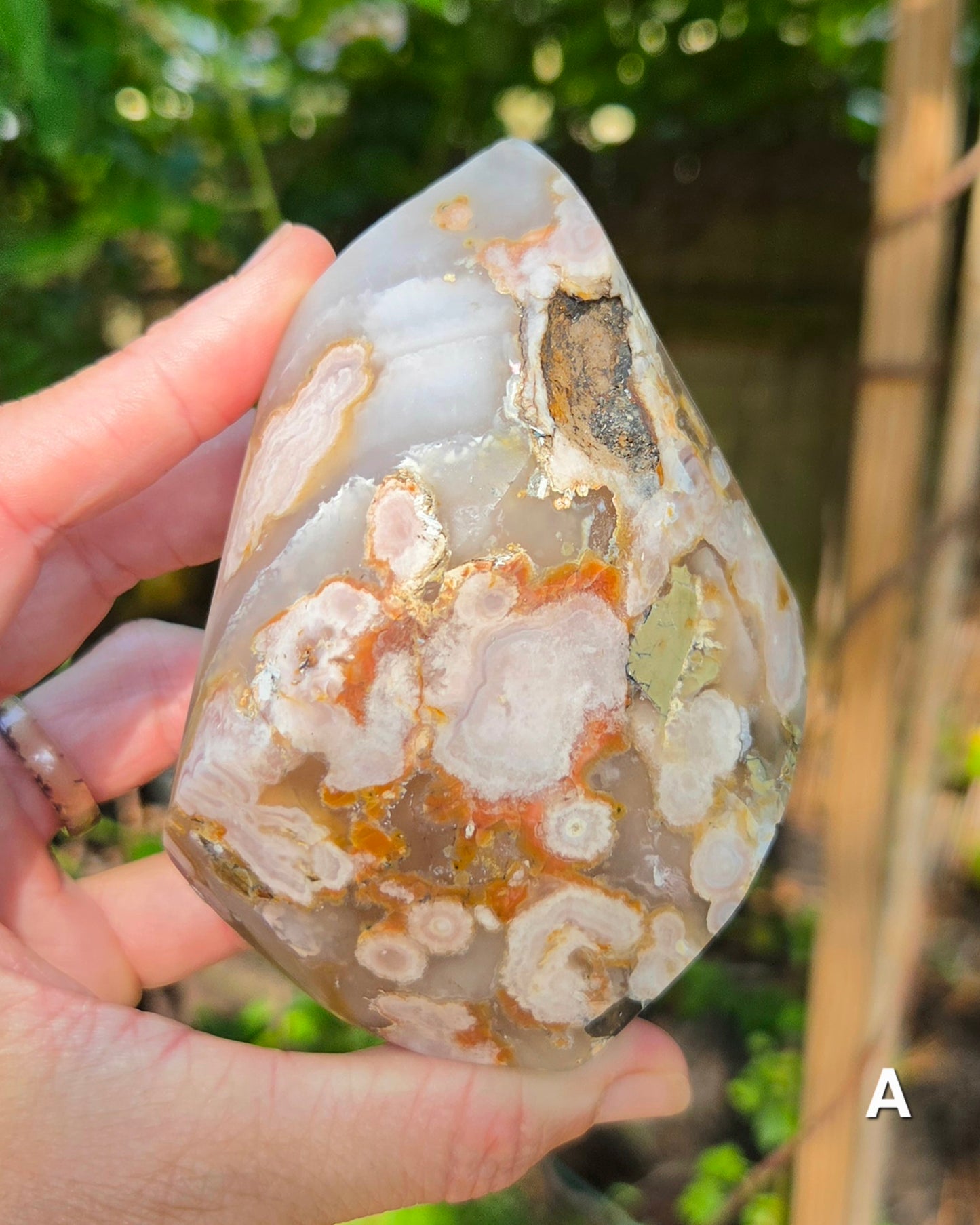 Flower Agate Flames
