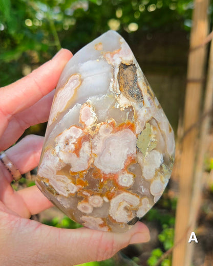 Flower Agate Flames