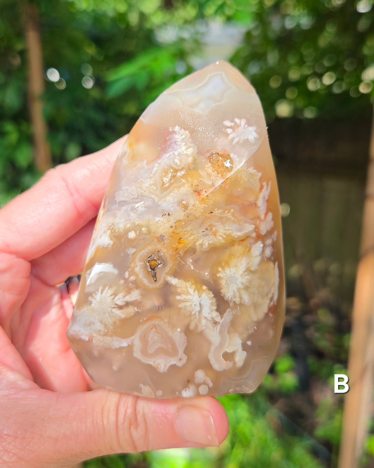 Flower Agate Flames