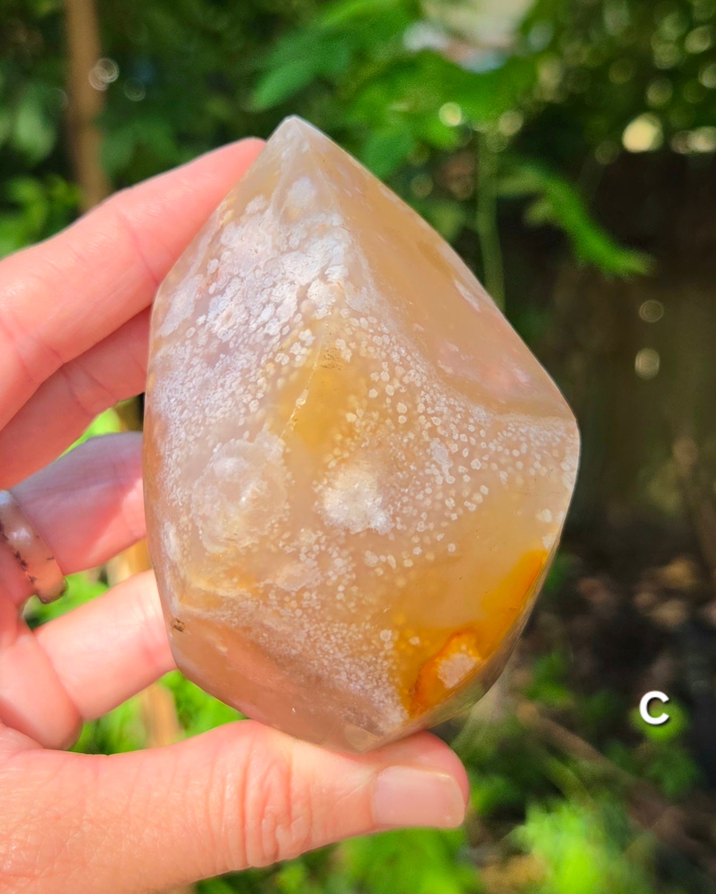 Flower Agate Flames