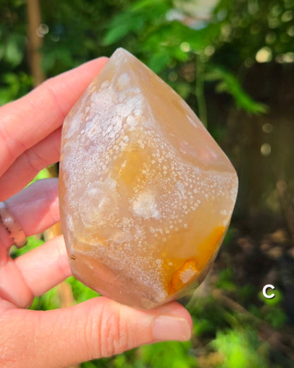 Flower Agate Flames
