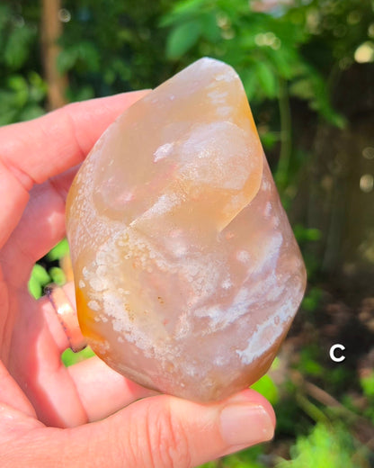 Flower Agate Flames