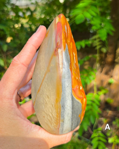 Polychrome Jasper Flames
