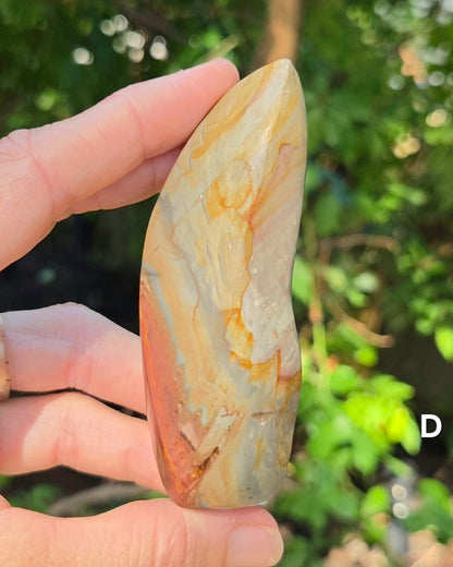 Polychrome Jasper Flames