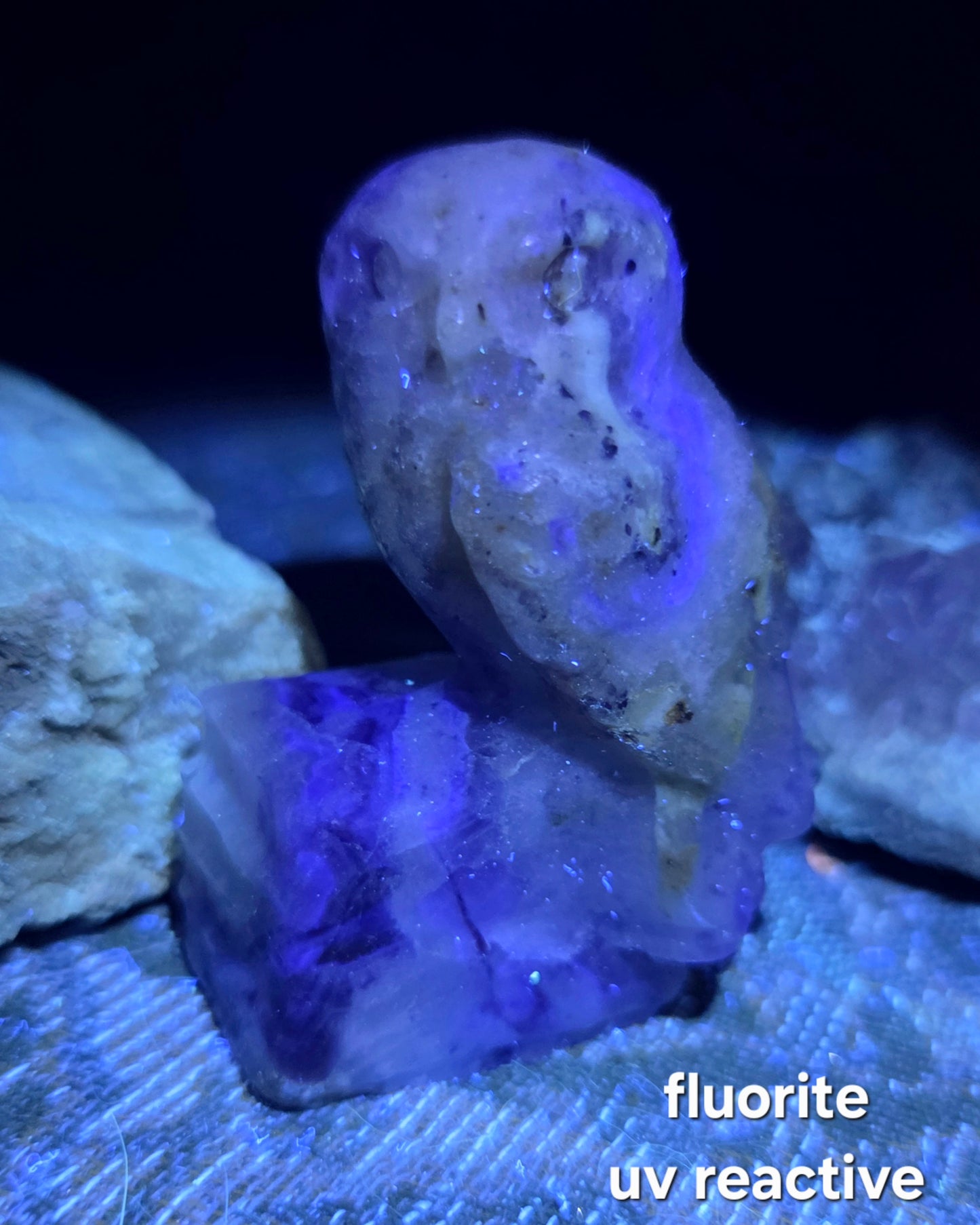 Owl on Books (Emberlite, Fluorite, Green Aventurine, Labradorite, or Rose Quartz)