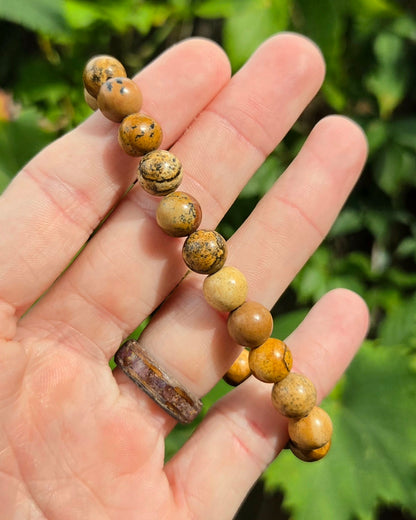 Picture Jasper Stretchy Bracelet
