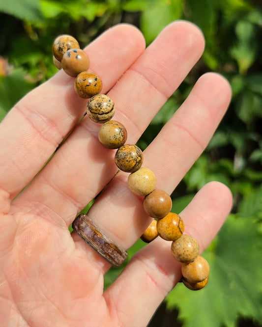 Picture Jasper Stretchy Bracelet