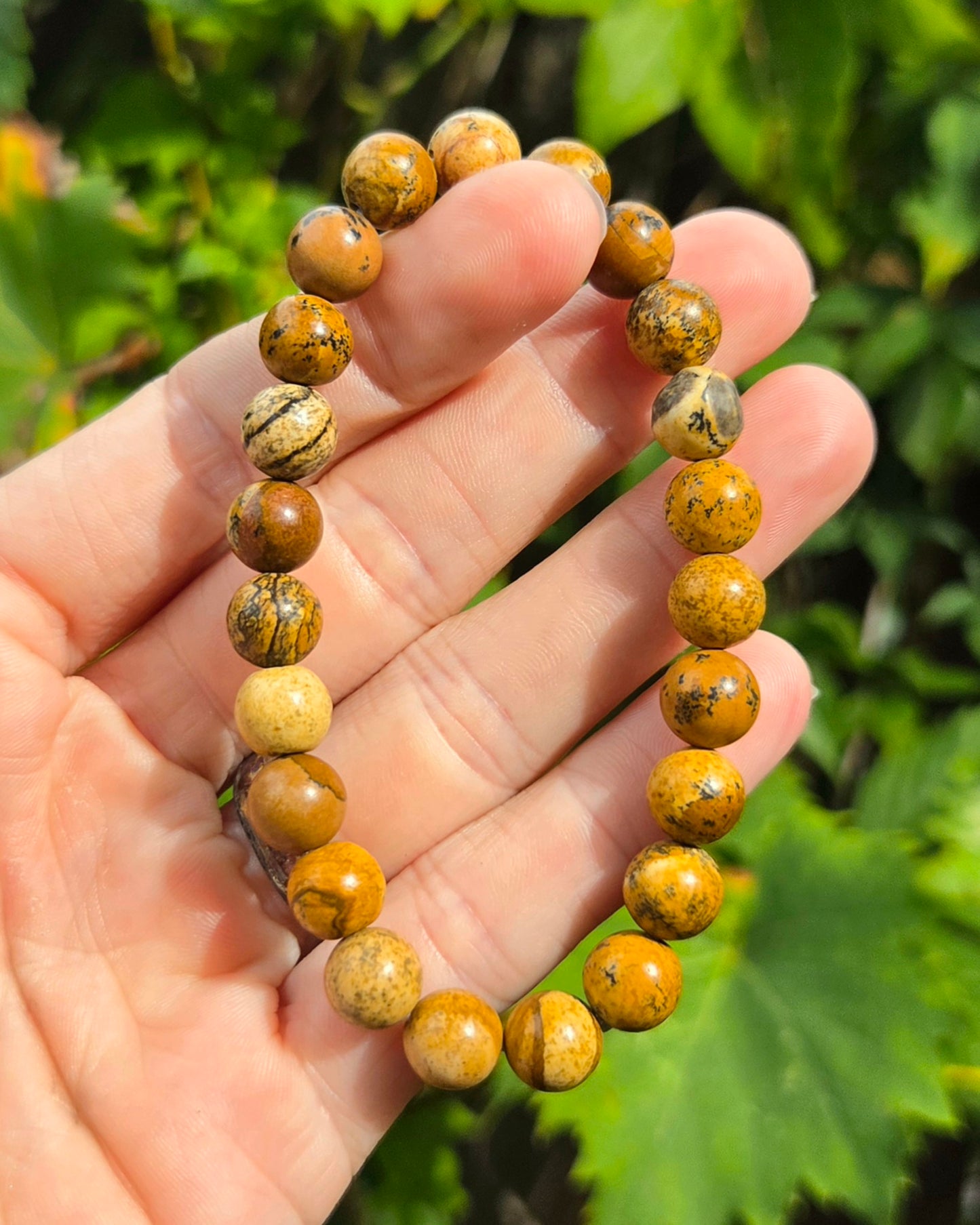 Picture Jasper Stretchy Bracelet