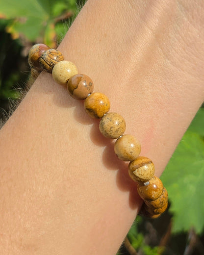 Picture Jasper Stretchy Bracelet