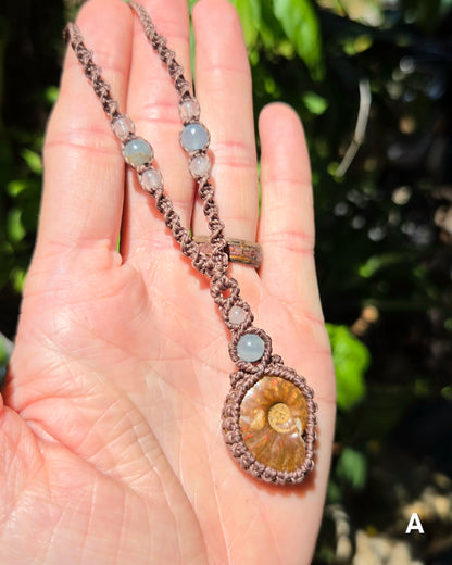 Iridescent Ammonite Macrame Necklace