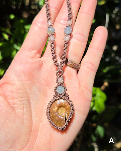 Iridescent Ammonite Macrame Necklace