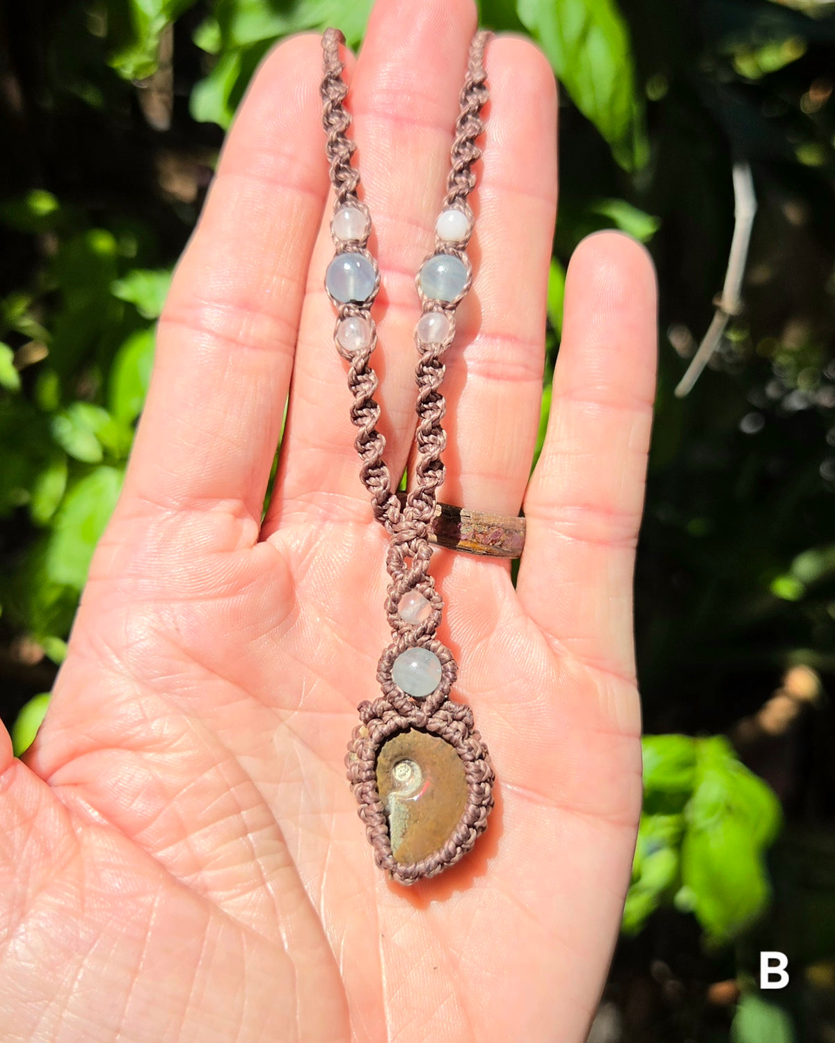 Iridescent Ammonite Macrame Necklace